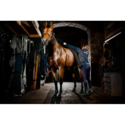 Horseware Autumn Cooler - Black/Aqua/Silver -Cheap Equine Nest Store 699726 800 800