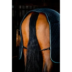 Horseware Autumn Cooler - Black/Aqua/Silver -Cheap Equine Nest Store 699729 800 800