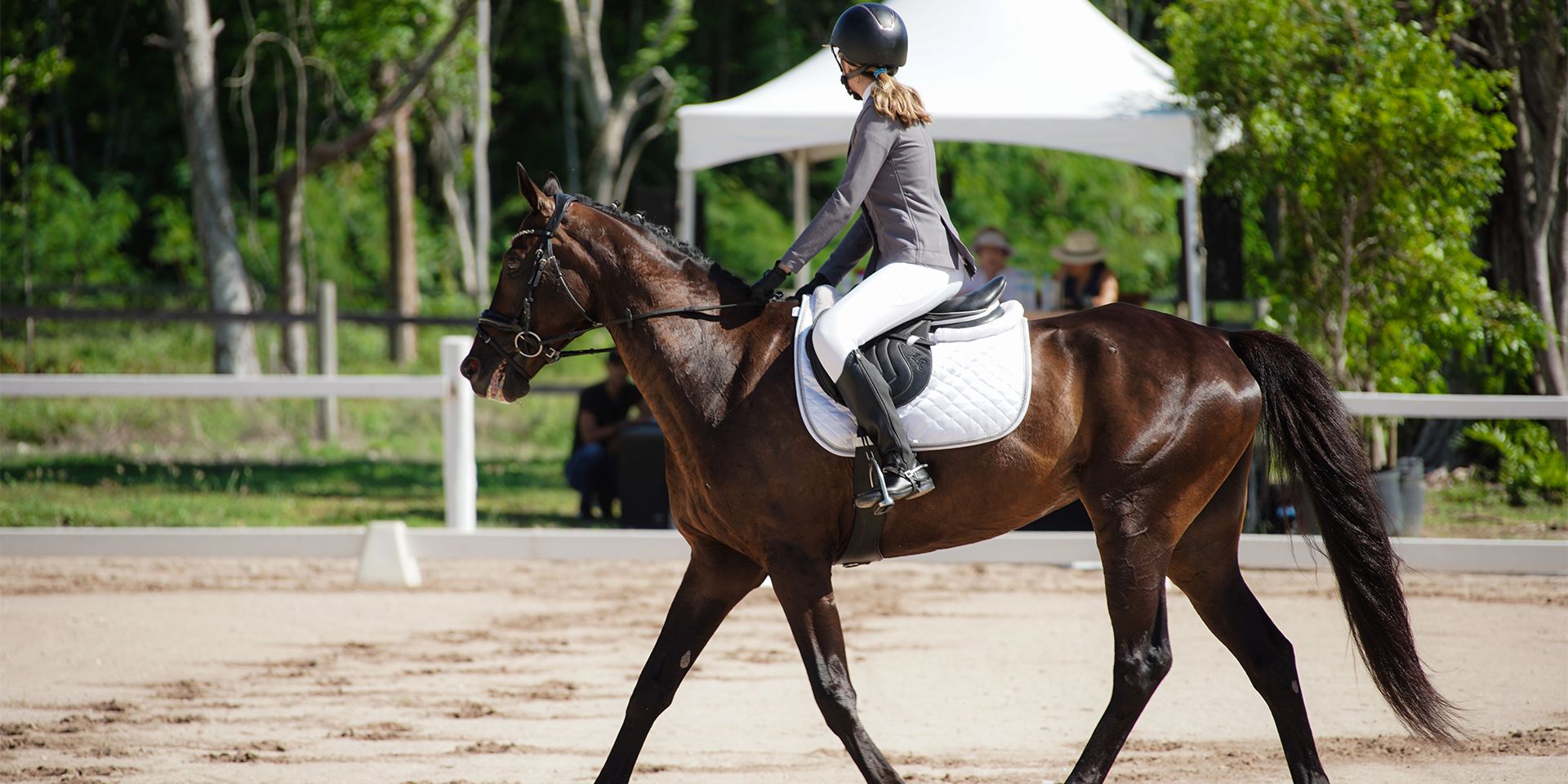 Cheap Equine Nest Store -Cheap Equine Nest Store 01 04ec91d13a66ae5e81aec3976d1a2d72