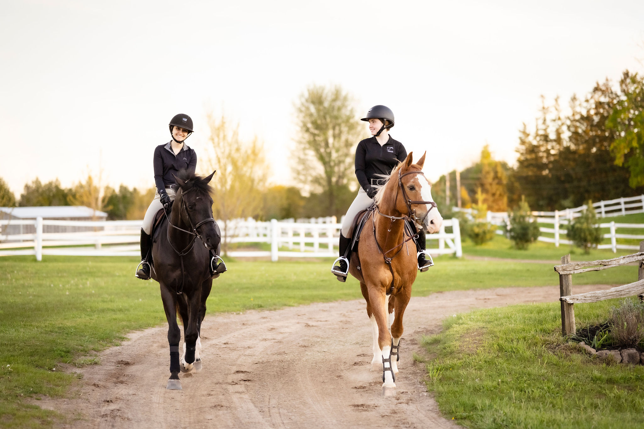 Cheap Equine Nest Store -Cheap Equine Nest Store Photo 31